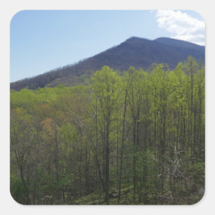 Sticker Carré Montagnes fumées dans le paysage du printemps
