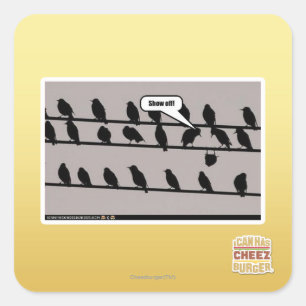 Sticker Carré Montre !