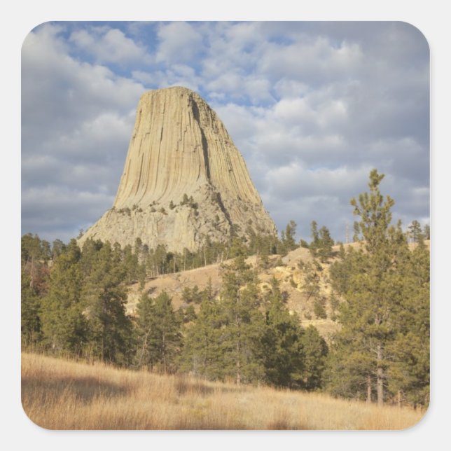 Sticker Carré Monument national de Devils Tower (Devant)