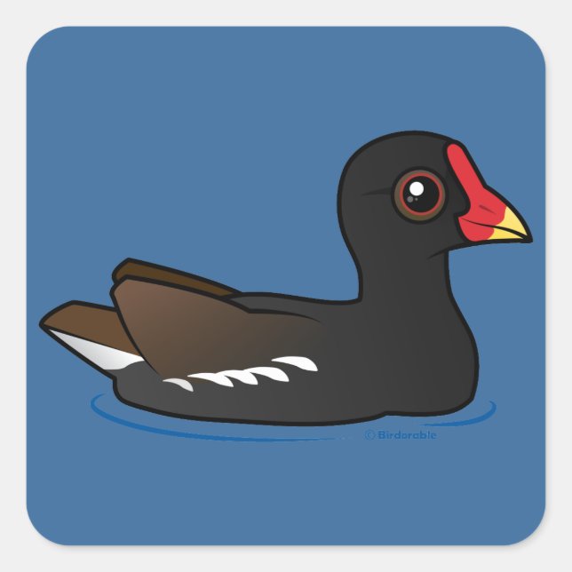 Sticker Carré Moorhen (Devant)