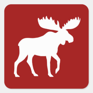 Sticker Carré Moose