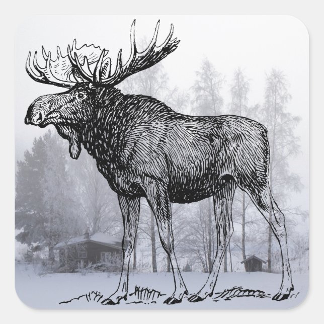 Sticker Carré Moose d'hiver (Devant)