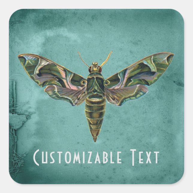 Sticker Carré Moth Iridescente vintage personnalisable (Devant)