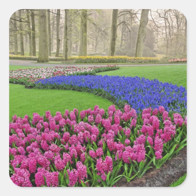 Sticker Carré Motif de Grape Hyacinth, tulipes et 2 (Devant)