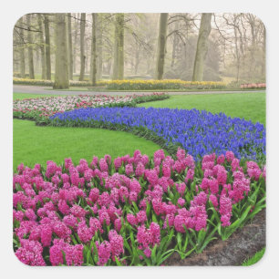 Sticker Carré Motif de jacinthe des vignes, tulipes, et 2
