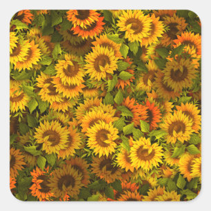 Sticker Carré Motif du terrain de tournesol