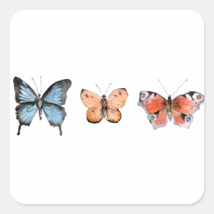 Sticker Carré Motif papillon