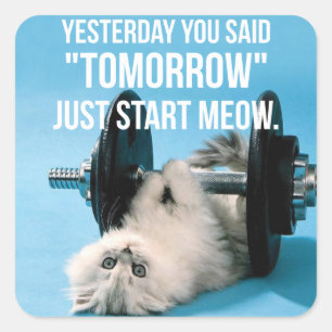 Sticker Carré Motivation amusante de l'entraînement - Chat - Com
