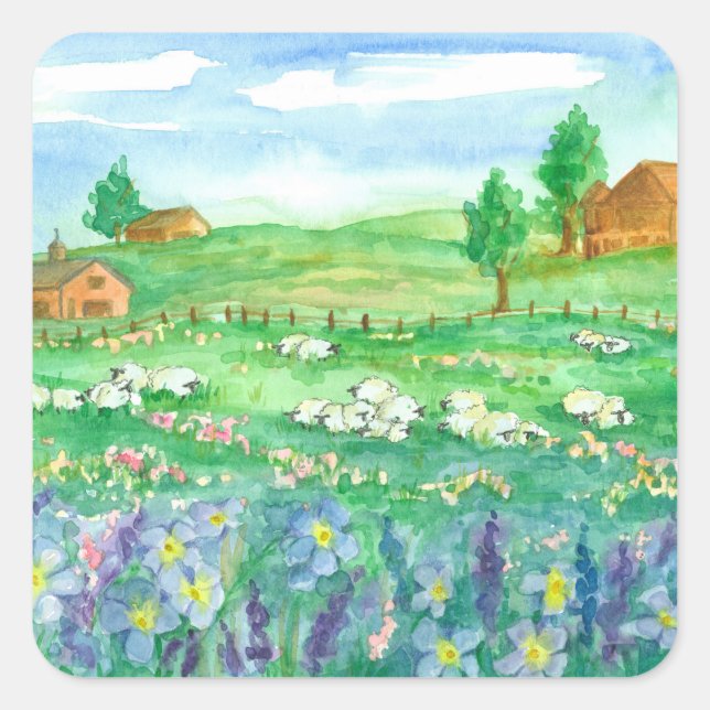Sticker Carré Moutons de ferme (Devant)