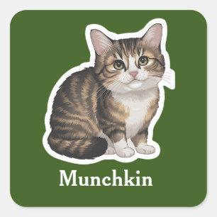 Sticker Carré Munchkin