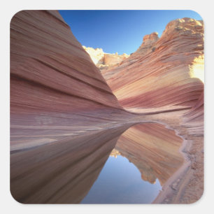 Sticker Carré NA, États-Unis, Utah, Vermillion Cliffs. Coyote Bu