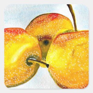 Sticker Carré Nashi poires jaune aquarelle fruit