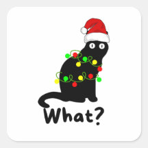 Naughty Chat noir portant le chapeau du Père Noël
