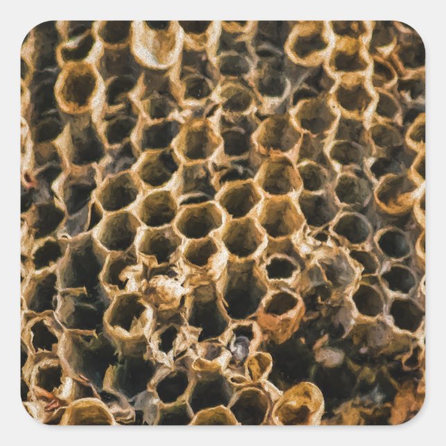 Sticker Carré Nid vide (Devant)