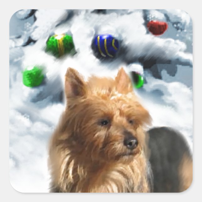 Sticker Carré Noël australien Terrier (Devant)