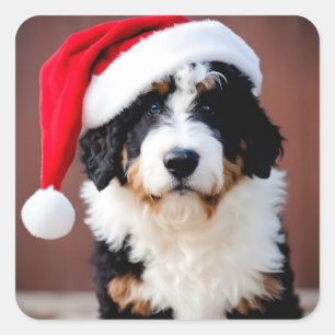 Sticker Carré Noël Bernedoodle
