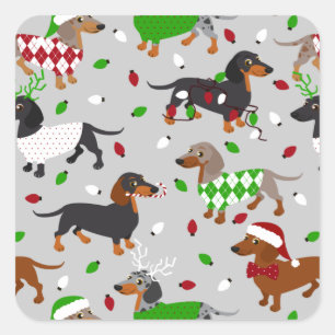 Sticker Carré Noël Dachshund Tous les manteaux