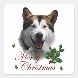 Sticker Carré Noël de Malamute en Alaska