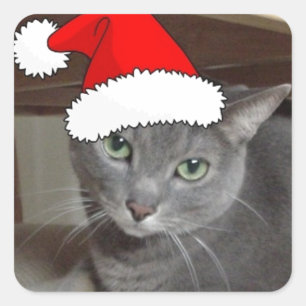 Sticker Carré Noël du chat bleu russe