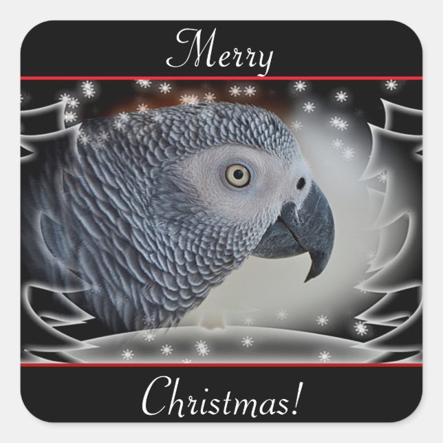 Sticker Carré Noël gris d'Afrique (Devant)