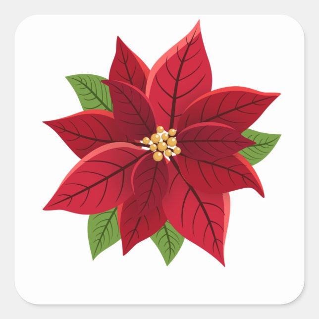 Sticker Carré Noël Poinsettia (Devant)