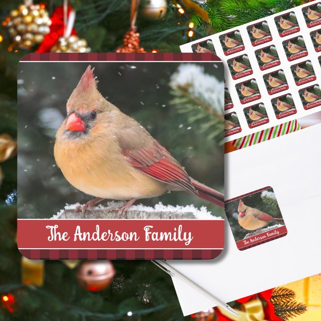 Sticker Carré Noël rustique Cardinal du Nord Nature Plaid (This rustic Christmas card seal with customizable text features a pretty female Northern Cardinal.)