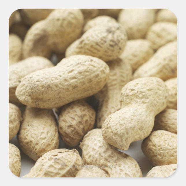 Sticker Carré Noix de singe. (Devant)