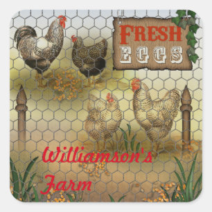 Sticker Carré Nom frais d'oeufs de ferme de poulets de pays