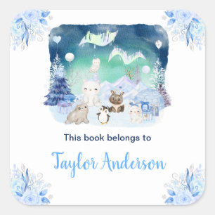 Sticker Carré Northern Lights Arctic Animaux Kids Boite
