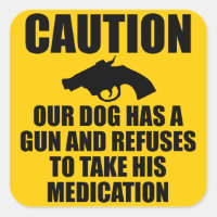 Notre chien a un pistolet