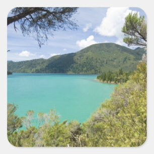 Sticker Carré Nouvelle-Zélande, île du Sud, Marlborough Sounds.