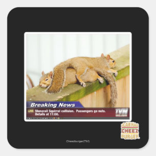 Sticker Carré Nouvelles de rupture