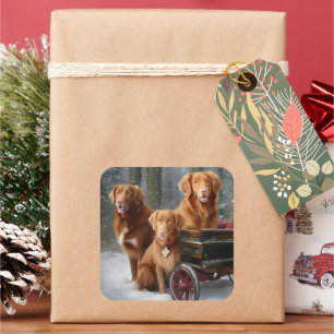 Sticker Carré Nova Scotia Duck Toller Retriever Traîneau enneigé