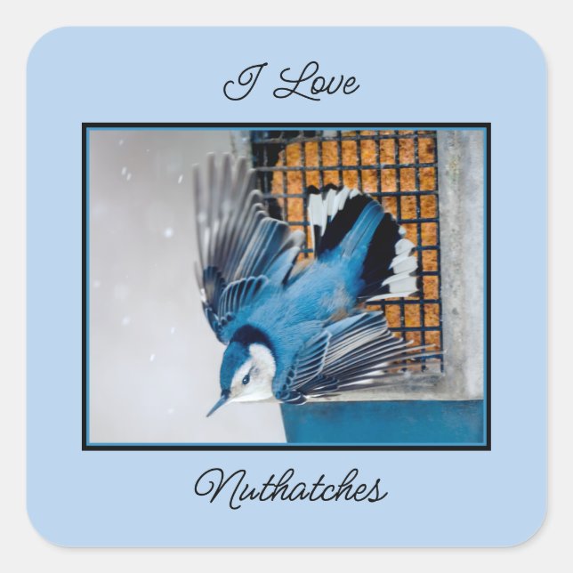 Sticker Carré Nuthatch à poitrine blanche en neige - Photo origi (Devant)