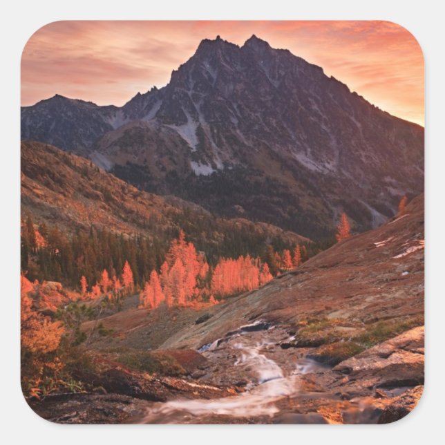 Sticker Carré October Light on Headlight (Devant)