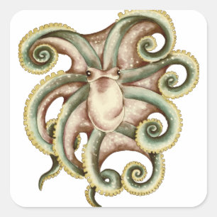 Sticker Carré Octopus vert