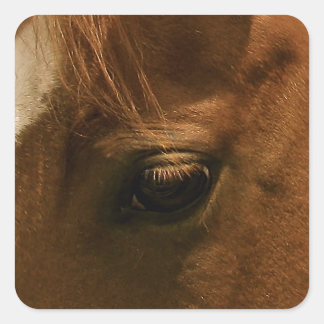 Sticker Carré Oeil de cheval âeux (Devant)