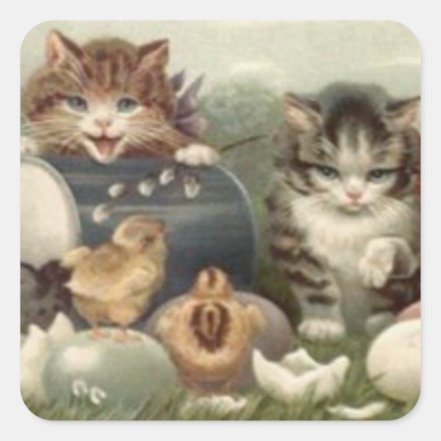 Sticker Carré Oeuf de Pâques couleur Kitten chat (Devant)