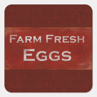 Sticker Carré Oeufs frais de ferme