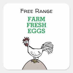 Sticker Carré OEufs frais de ferme à gamme libre