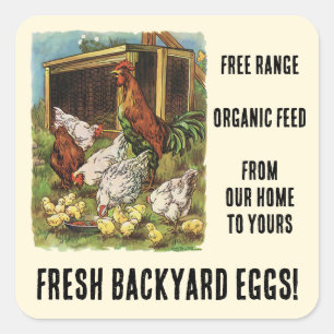 Sticker Carré Oeufs frais de nos poulets Jardins à vendre!