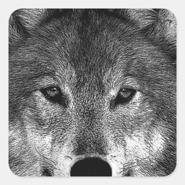 Sticker Carré Oeuvre de Loup noir et blanc (Devant)