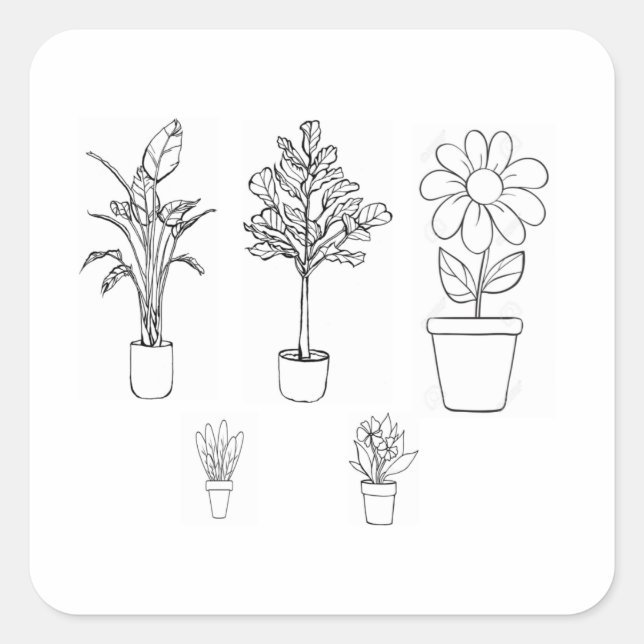Sticker Carré Oeuvre Plante Noir Et Blanc (Devant)