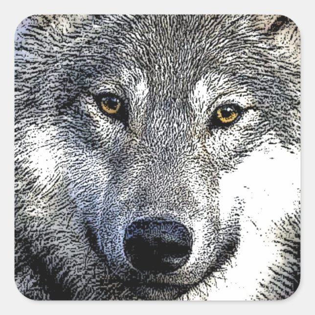 Sticker Carré OEuvres d'art uniques Wild Wolf (Devant)