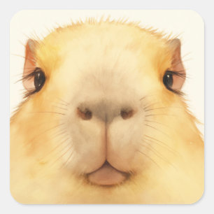 Sticker Carré Oh bonjour capybara