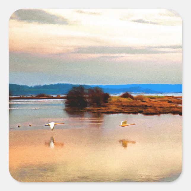 Sticker Carré Oies des neiges du Mont Vernon (Devant)