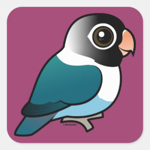 Sticker Carré Oiseau bleu masqué