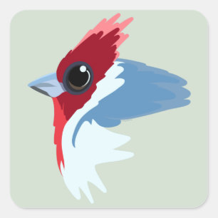 Sticker Carré Oiseau cardinal à crête rouge