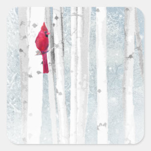 Sticker Carré Oiseau cardinal rouge dans un magnifique Birch Tre
