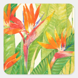 Sticker Carré Oiseau des fleurs du paradis tropical